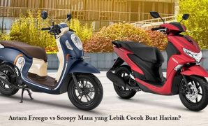 freego vs scoopy