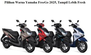 Warna FreeGO 2025
