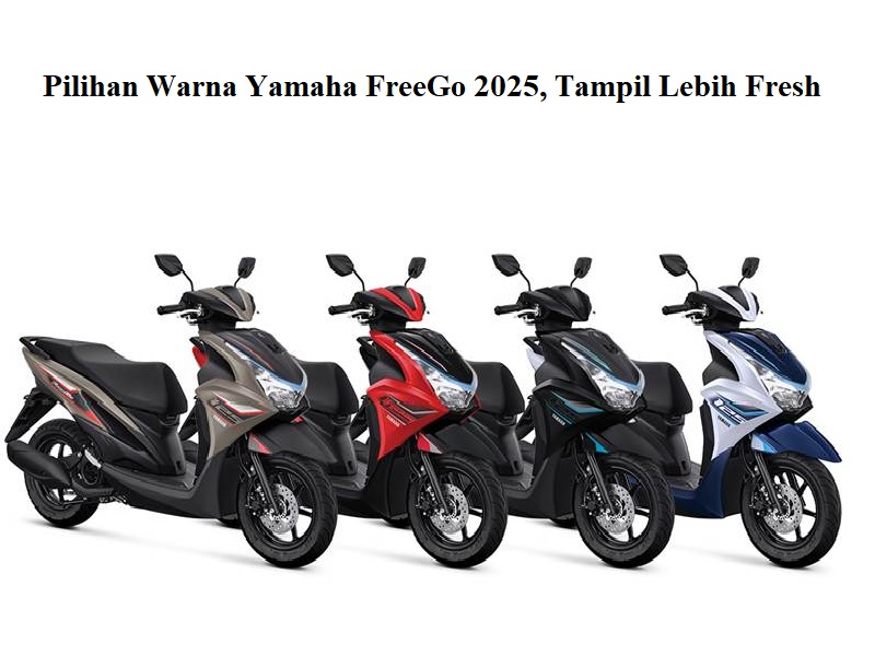 Warna FreeGO 2025